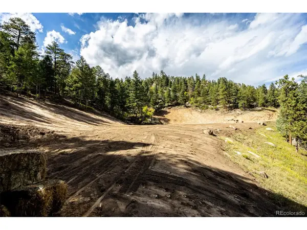 9489 S Turkey Creek Rd, Morrison, CO 80465
