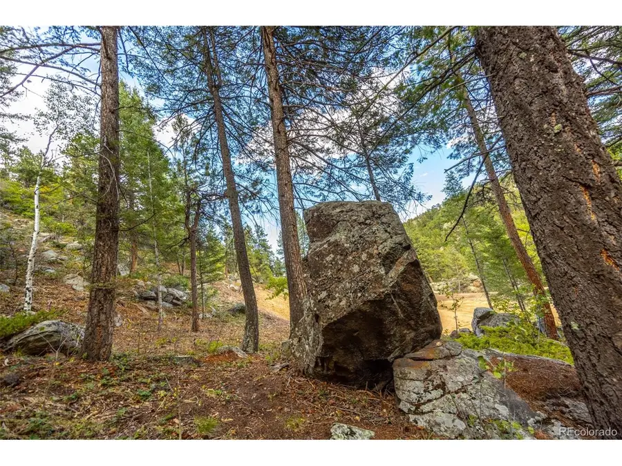 9489 S Turkey Creek Rd, Morrison, CO 80465 - #3
