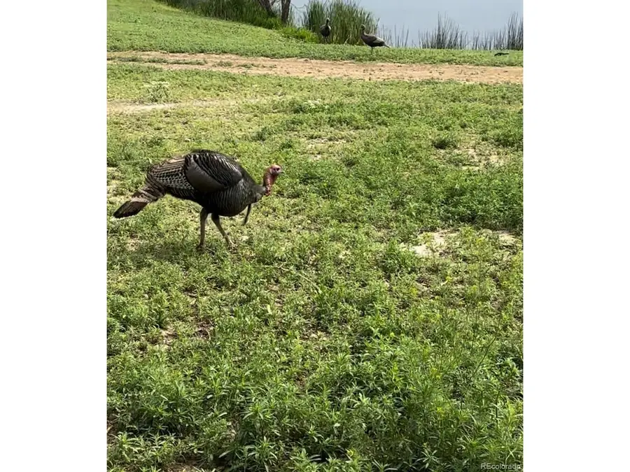 4791 County Road 24 3/4, Longmont, CO 80504 - #2