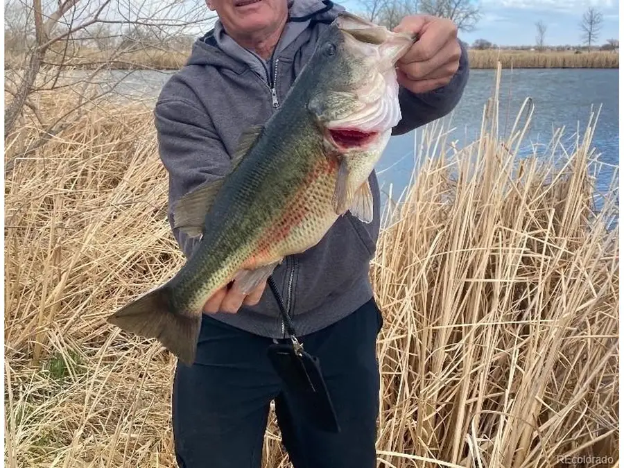 4791 County Road 24 3/4, Longmont, CO 80504 - #3