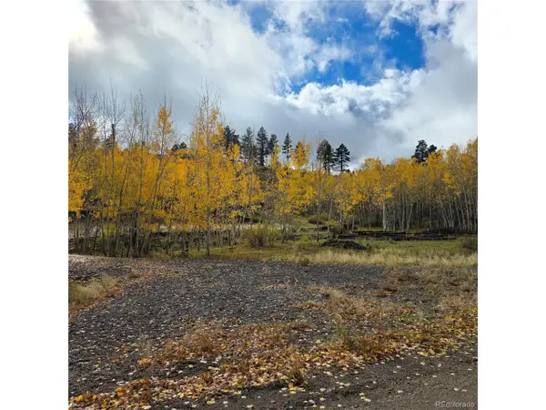 302 Rickel Cir, South Fork, CO 81154