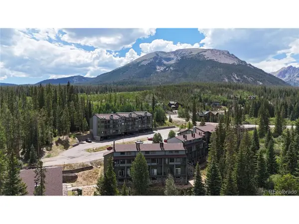 Address Withheld By Seller, Silverthorne, CO 80498