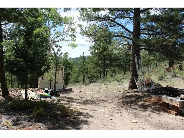 1 Golconda Mine Rd, Central City, CO 80427