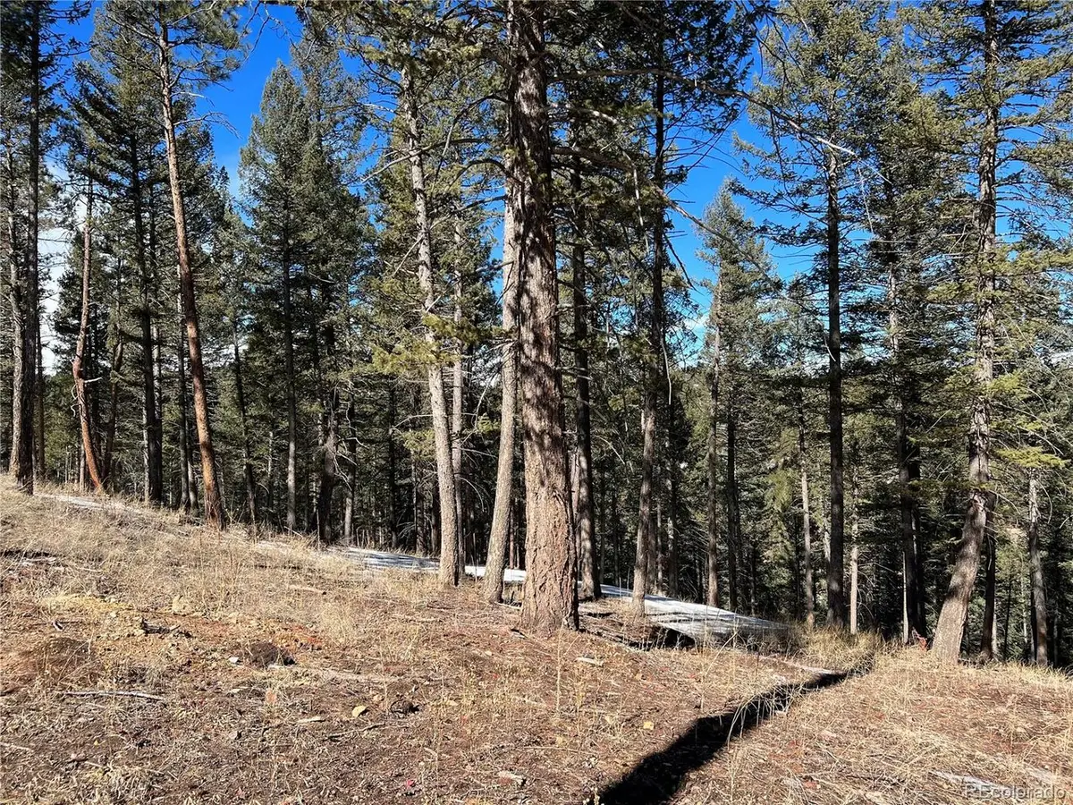 7871 Gold Rush, Morrison, CO 80465 - #1