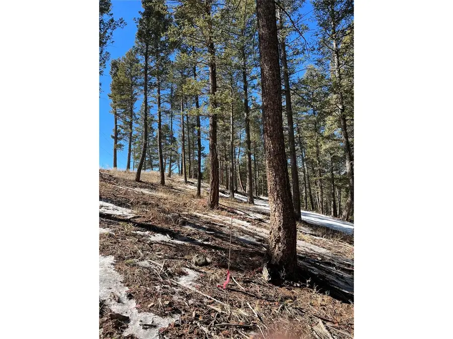 7871 Gold Rush, Morrison, CO 80465 - #3