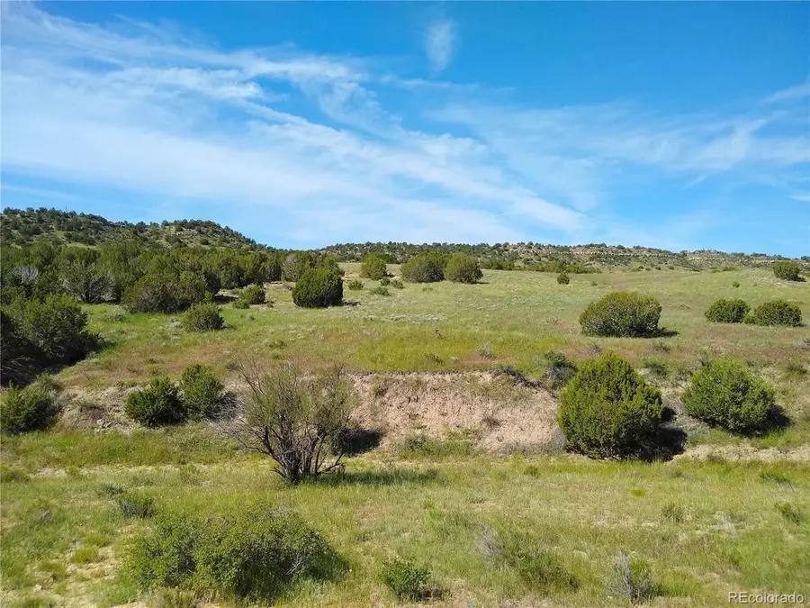 0 County 113 Ln, Rye, CO 81069 - #2