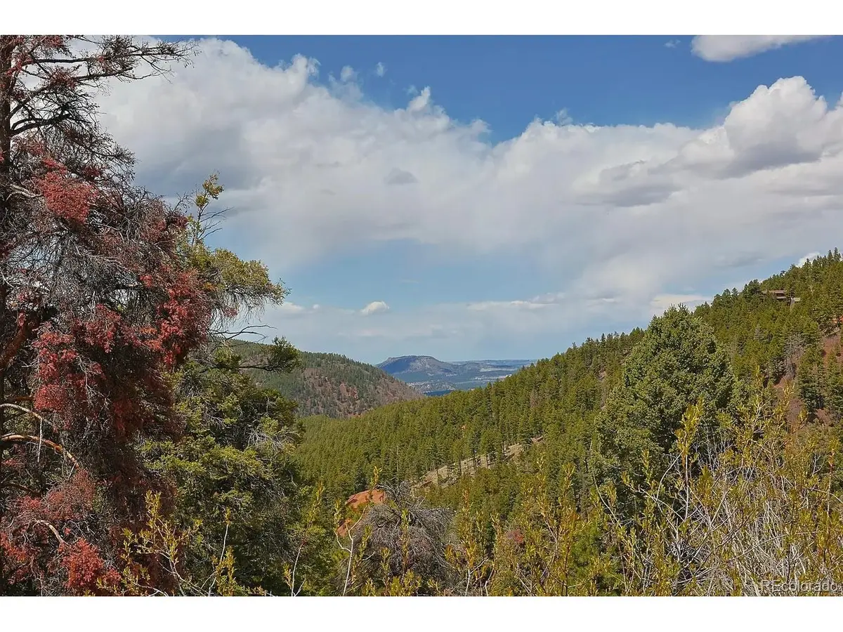13499 S Firedog Way, Larkspur, CO 80118 - #1