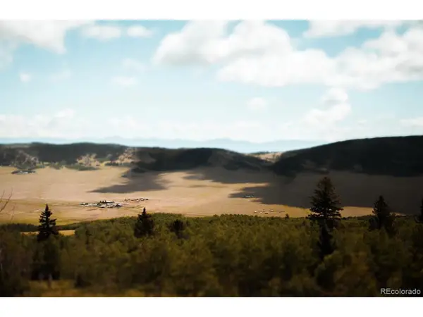 24870 Us Hwy 285, Fairplay, CO 80440
