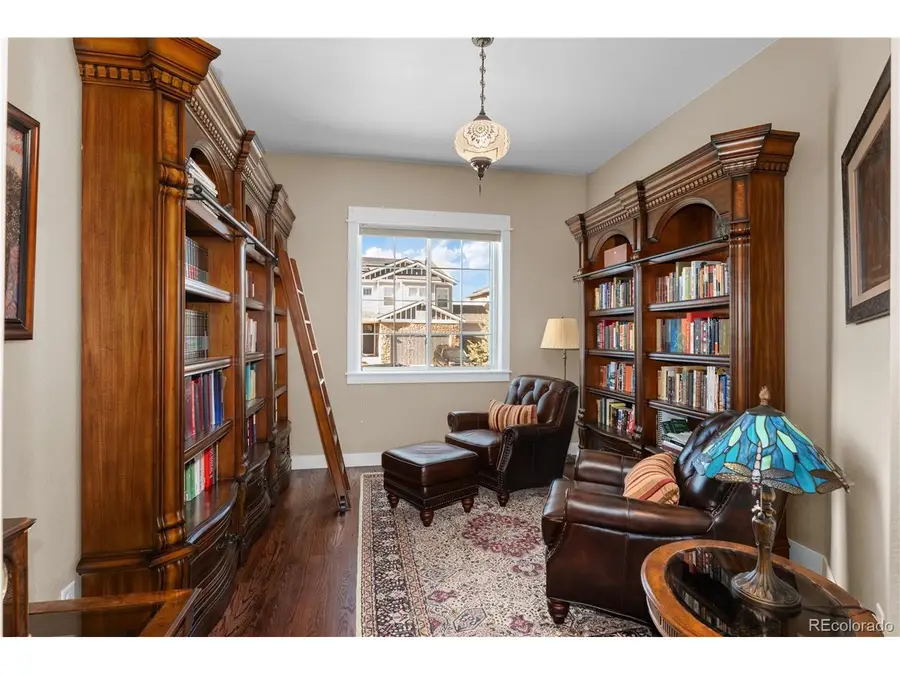 20512 Northern Pine Ave, Parker, CO 80134 - #3