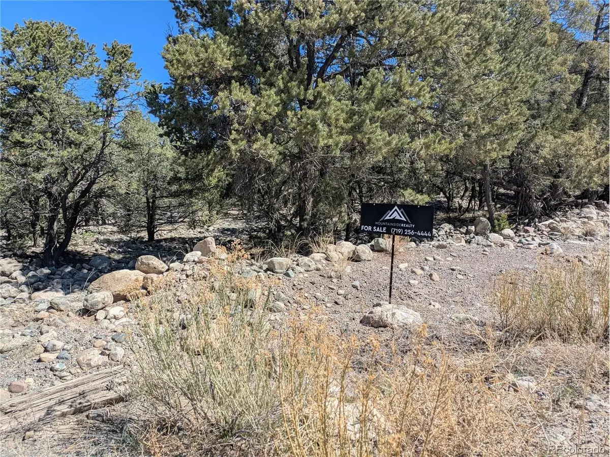 2202 Spanish Creek Rd, Crestone, CO 81131 - #1