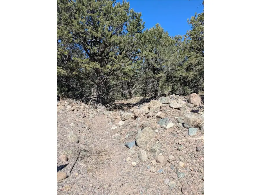 2202 Spanish Creek Rd, Crestone, CO 81131 - #2