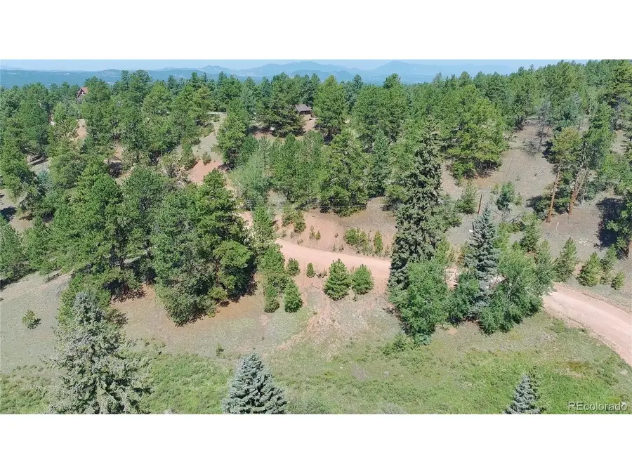 835 Spring Valley Ln, Florissant, CO 80816 - #3
