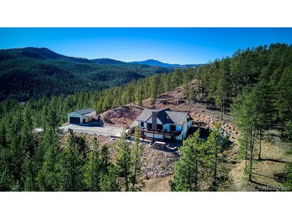 16654 S 7th St, Pine, CO 80470