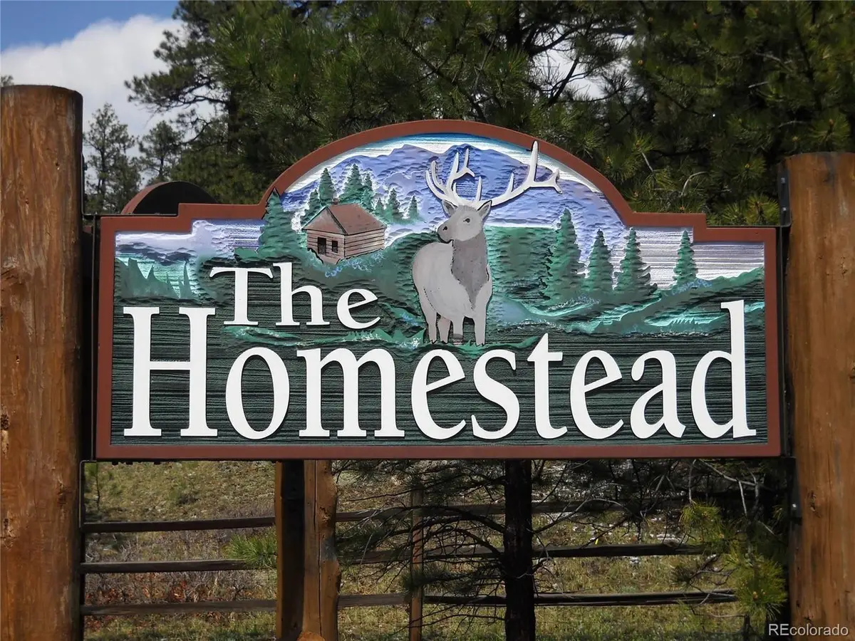8216 Federation Dr, Morrison, CO 80465 - #1