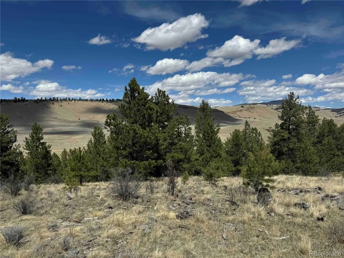 8014 County Road 2, Canon City, CO 81212 - #1