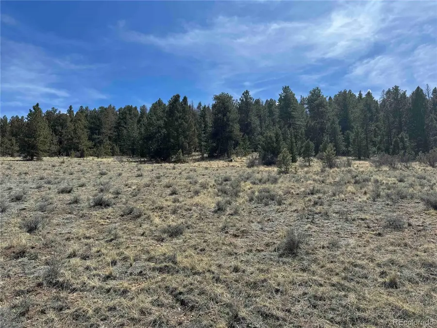 8014 County Road 2, Canon City, CO 81212 - #3