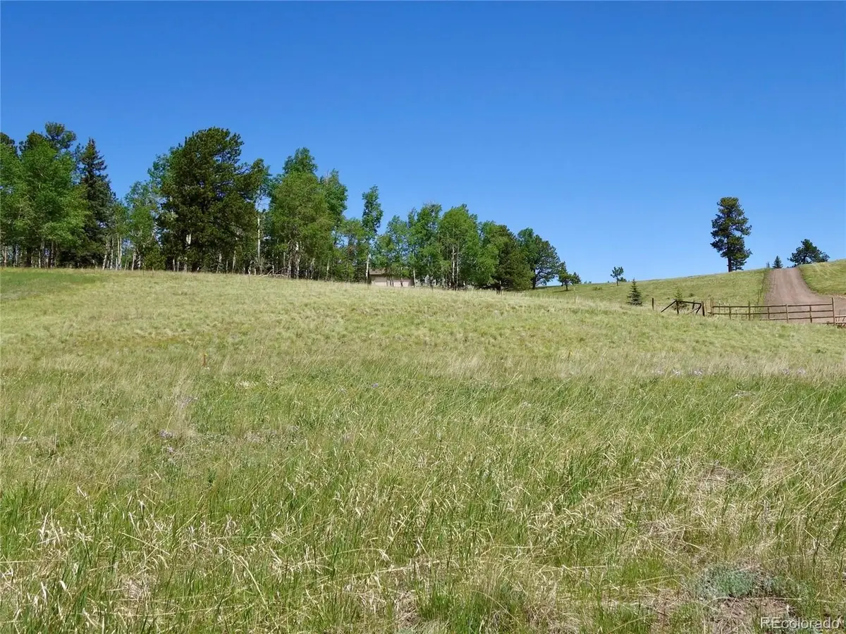 307 Pinaceae Hts, Divide, CO 80814 - #1