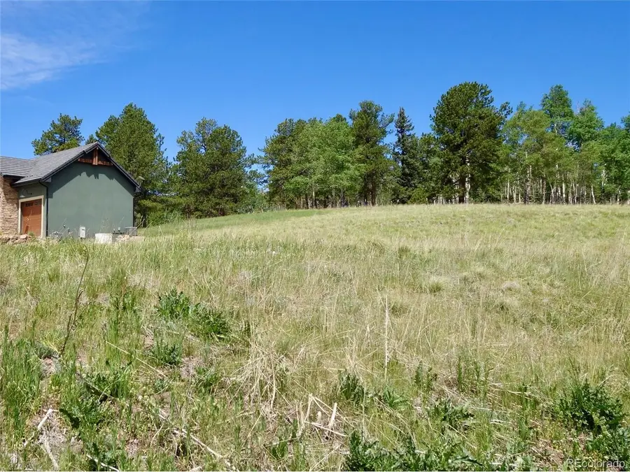 307 Pinaceae Hts, Divide, CO 80814 - #2