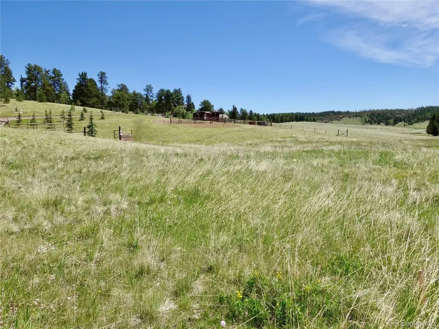 307 Pinaceae Hts, Divide, CO 80814 - #3
