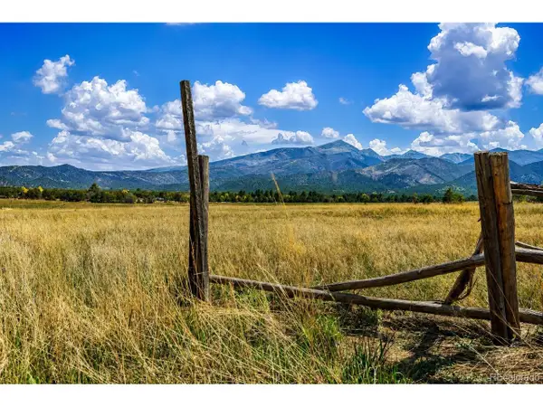 513 Meadow Dr, Coaldale, CO 81222