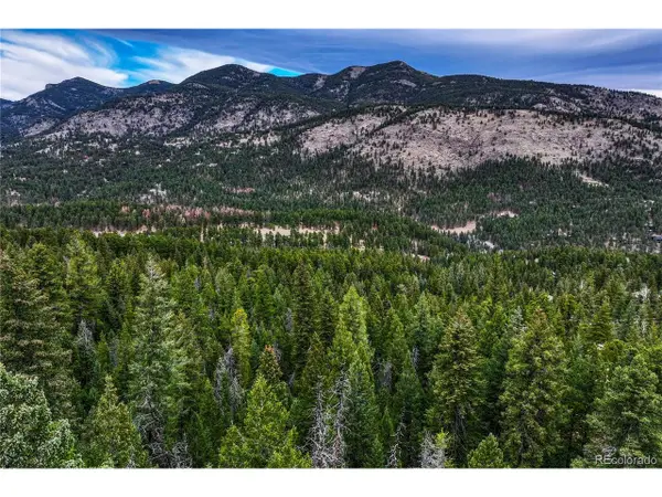 33864 Bergen View Trl, Evergreen, CO 80439