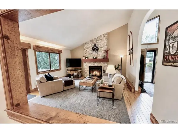 113 Beaver Rd #A, Avon, CO 81620