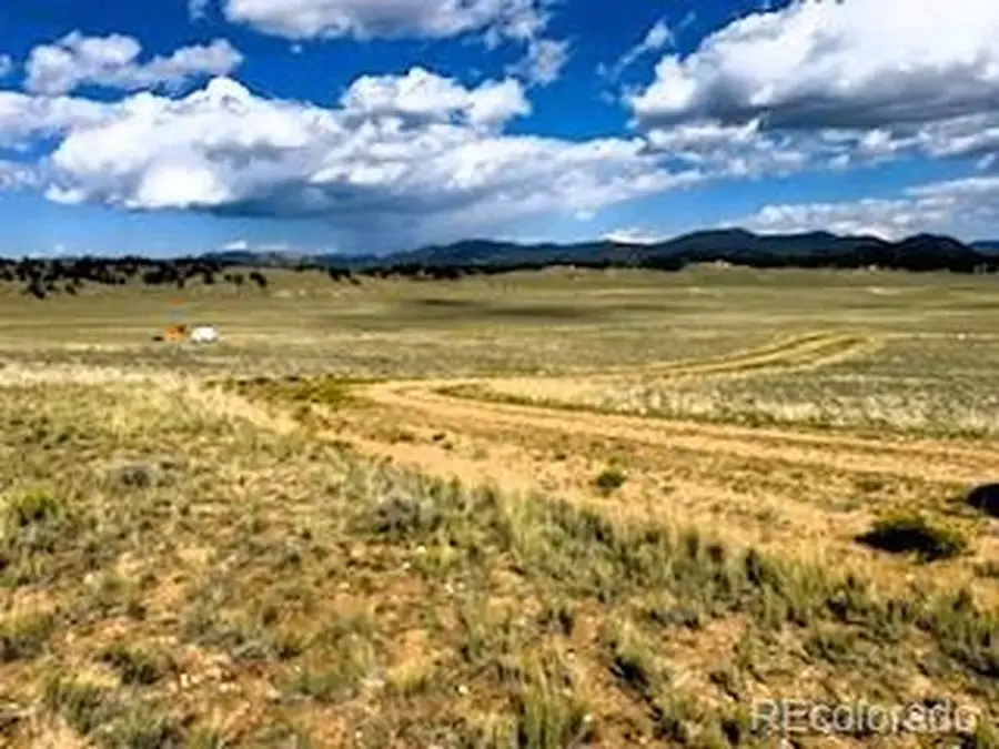 785 Cherokee Trl, Hartsel, CO 80449 - #3