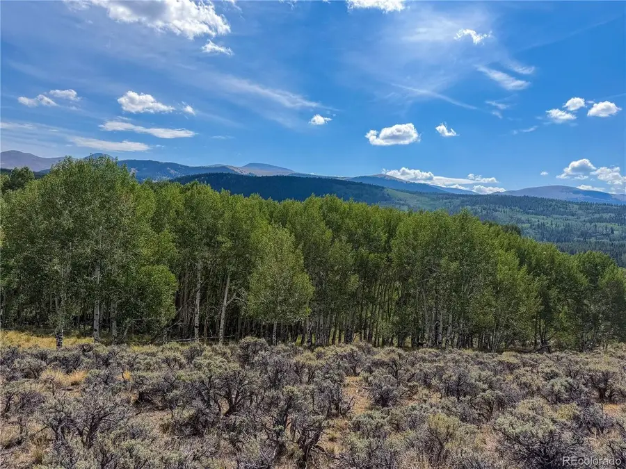 380 Mallard Rd, Leadville, CO 80461 - #2