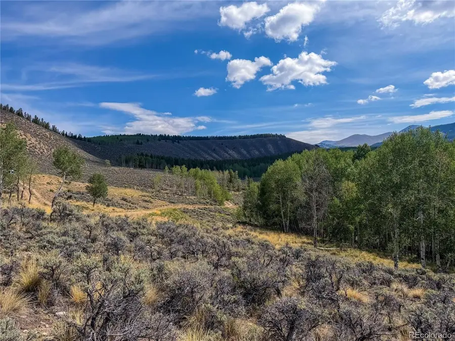 380 Mallard Rd, Leadville, CO 80461 - #3