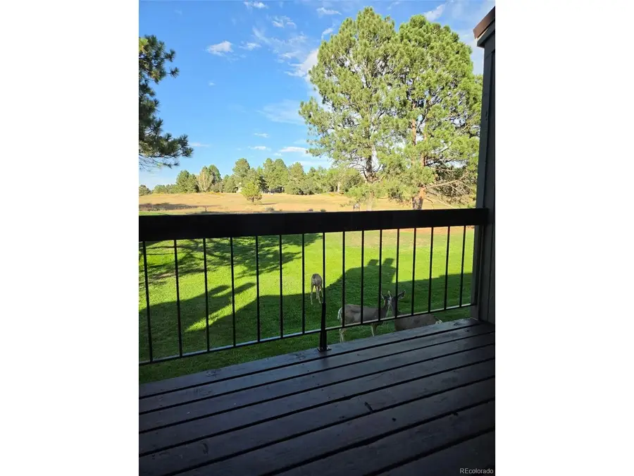 6480 Pinewood Dr, Parker, CO 80134 - #2