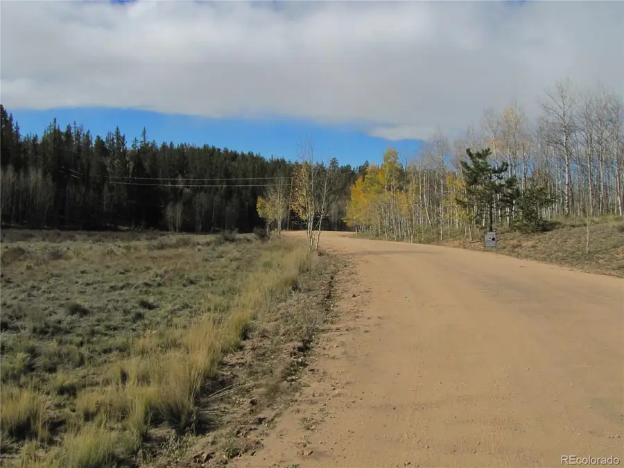 491 Longbow Dr, Como, CO 80456 - #3