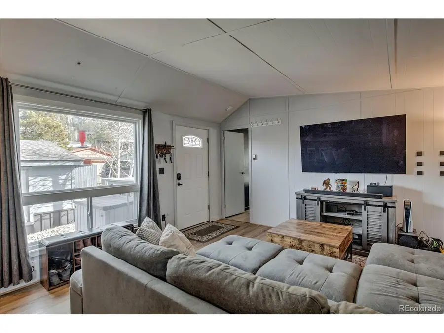 56 Magnum Bonum Dr, Breckenridge, CO 80424 - #3