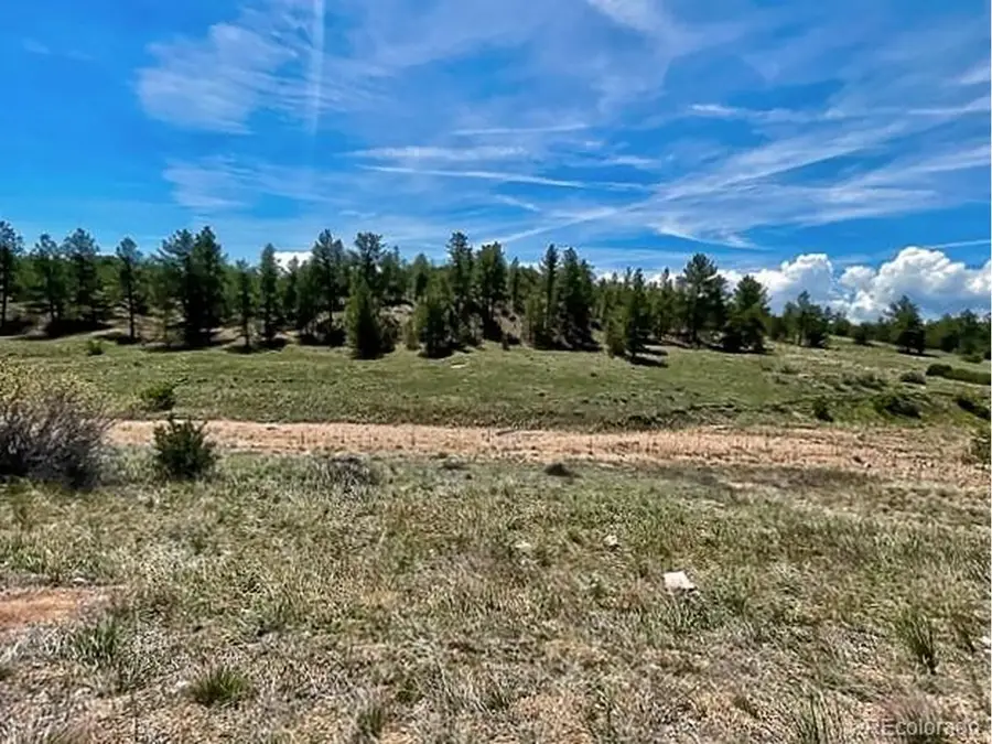 7080 Copper Gulch Rd, Cotopaxi, CO 81223 - #2
