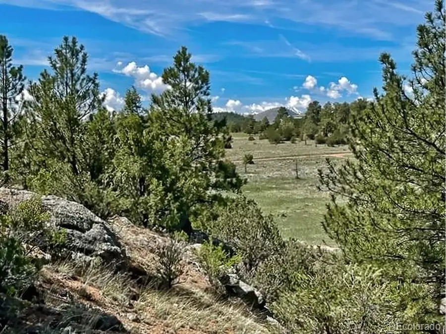 7080 Copper Gulch Rd, Cotopaxi, CO 81223 - #3