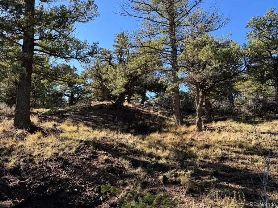 2336 Sandoval Rd, Fort Garland, CO 81133 - #3