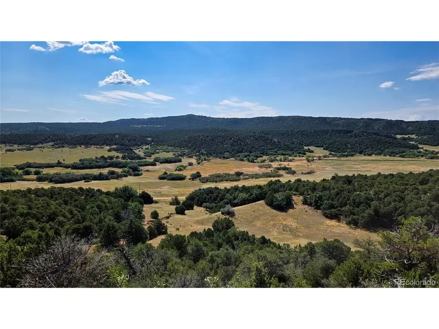7 La Veta Pines Ranches, Walsenburg, CO 81089 - #3