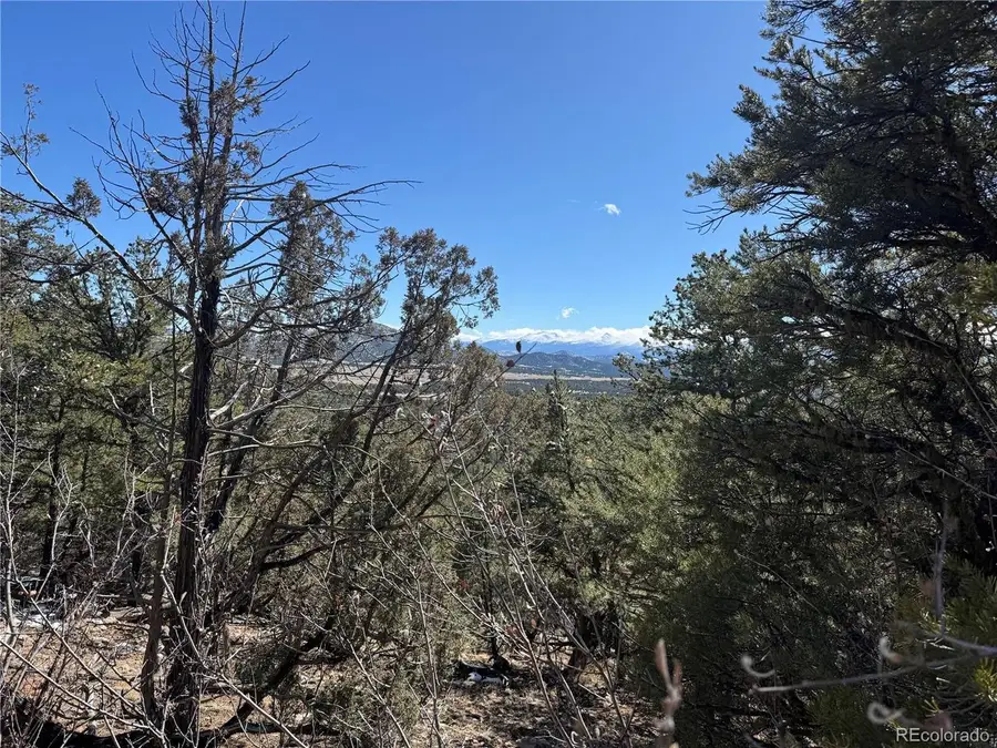 1214 Kevin Dr, Cotopaxi, CO 81223 - #3