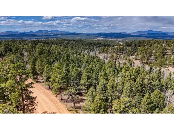2151 N Mountain Estates Rd, Florissant, CO 80816