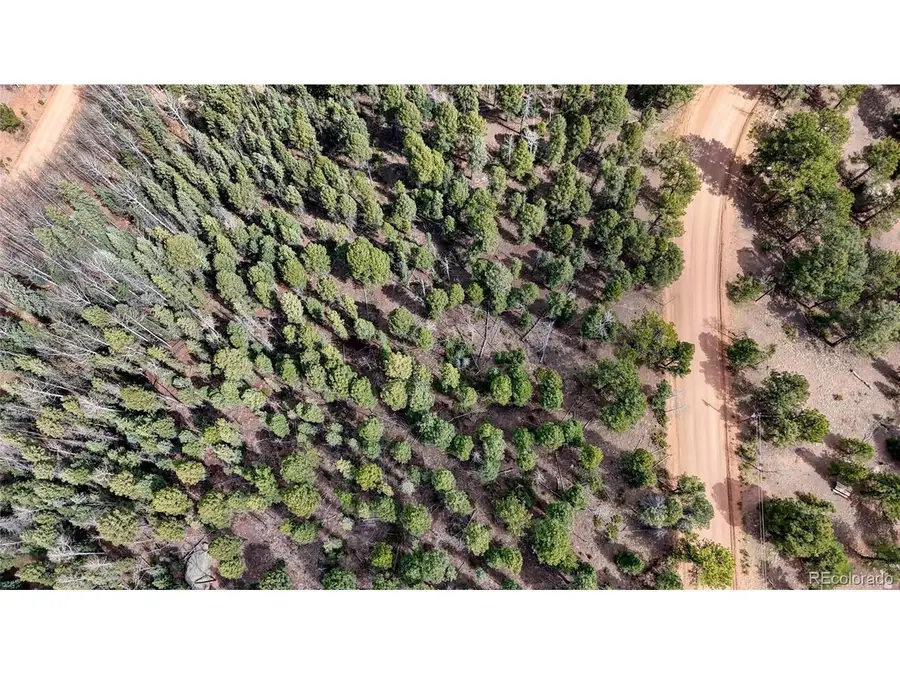 2151 N Mountain Estates Rd, Florissant, CO 80816 - #2