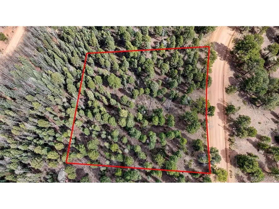 2151 N Mountain Estates Rd, Florissant, CO 80816 - #3