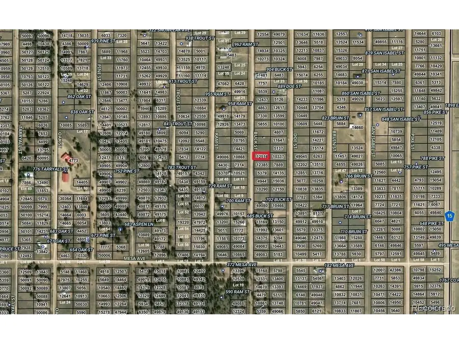 Buck St, Hartsel, CO 80449 - #2