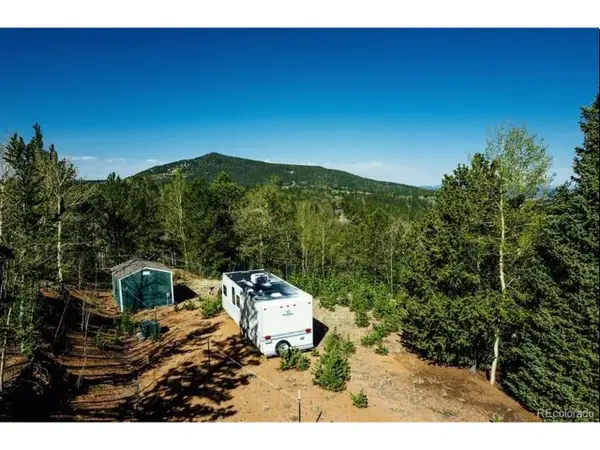 977 County Road 61, Divide, CO 80814