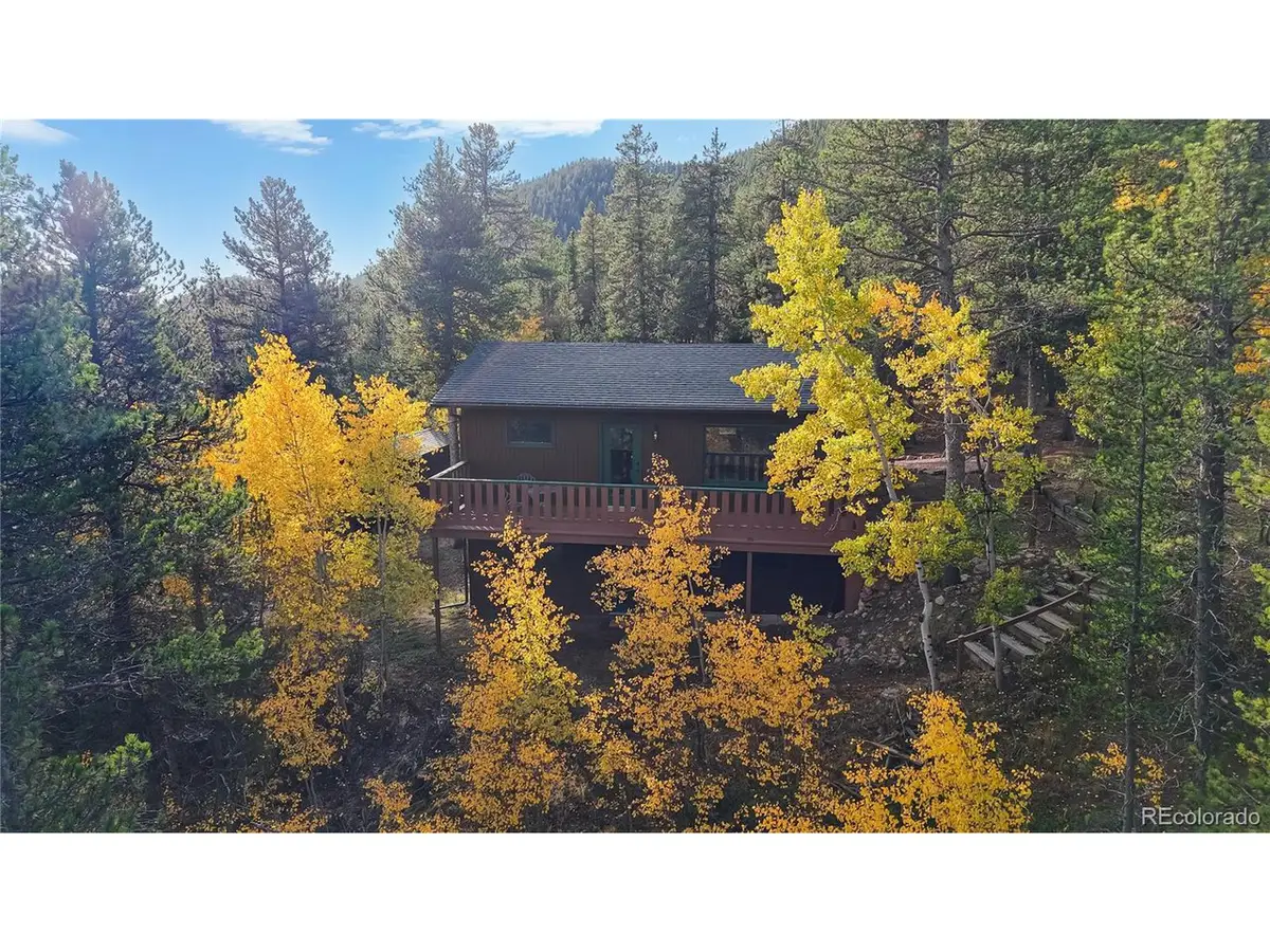 225 Renaud Rd, Bailey, CO 80421 - #1