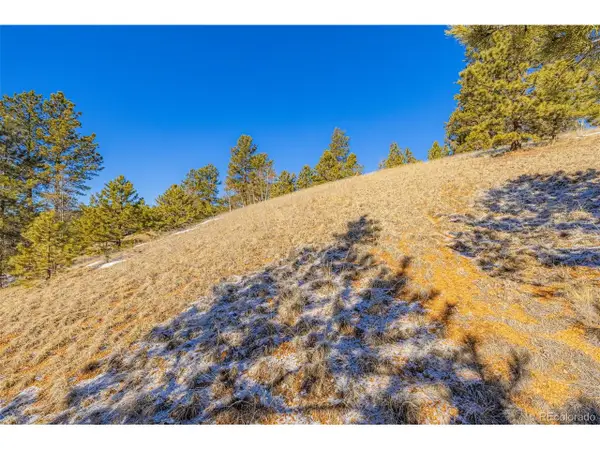 772 E Bison Creek Trl, Florissant, CO 80816