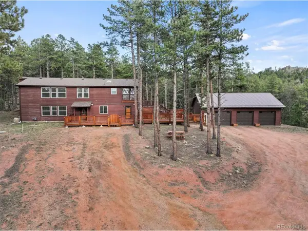 46 Kingston Cir, Florissant, CO 80816