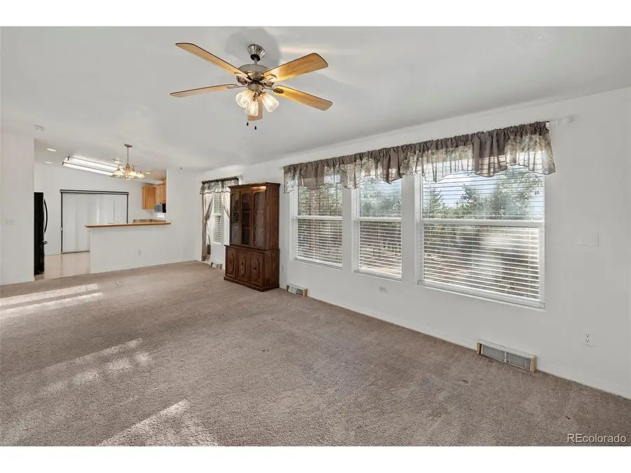 46 Kingston Cir, Florissant, CO 80816 - #2