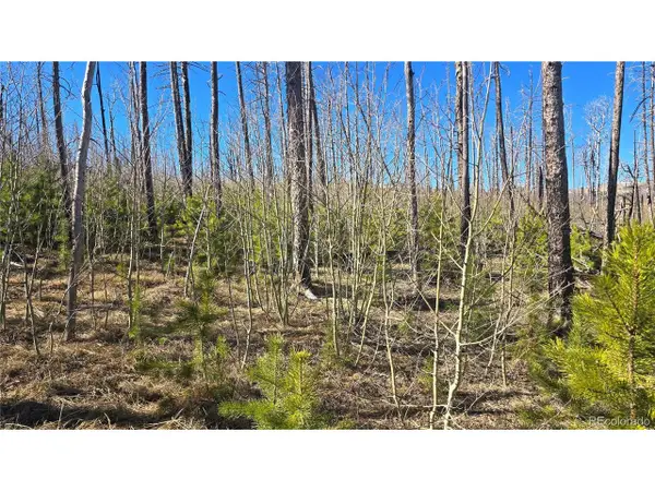 1470 Von Heyl Ln, Fort Garland, CO 81133