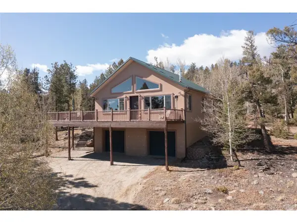 1136 Bellows Rd, Hartsel, CO 80449