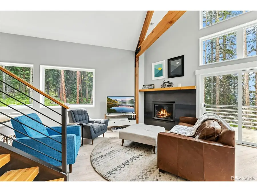 Address Withheld By Seller, Breckenridge, CO 80424 - #3
