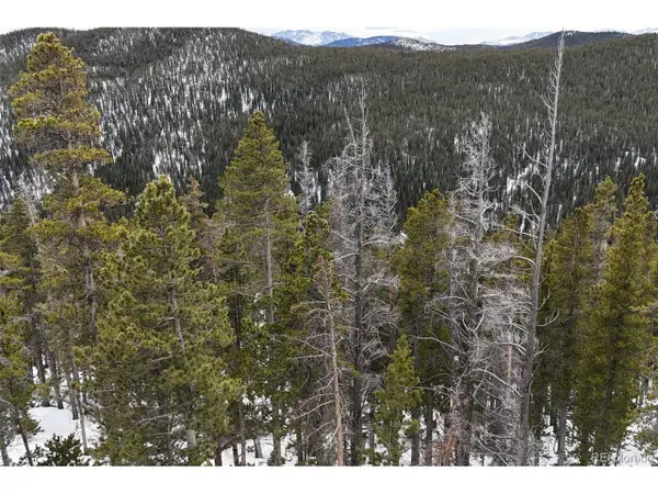 156 Vista Rd, Idaho Springs, CO 80452